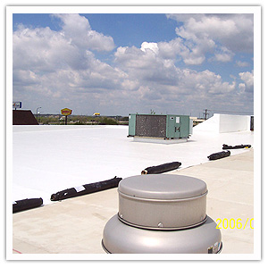 Watertight Exteriors Durolast Roof